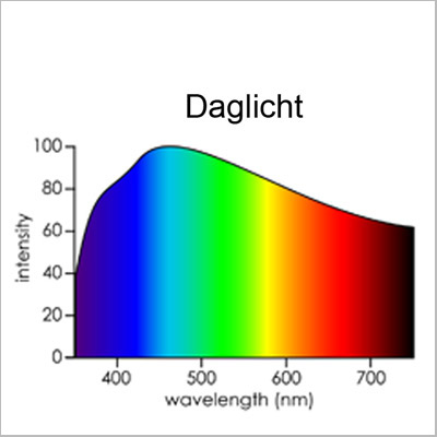 Spectrum diverse Lichtbronnen - Licht in het